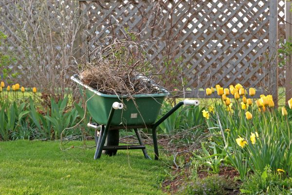 Flower Bed Cleanup Service in Allen