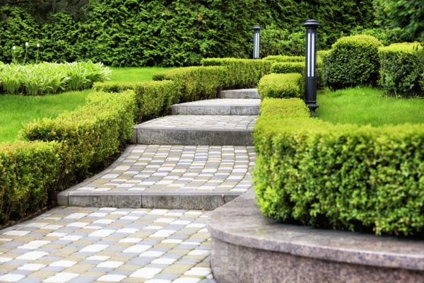 Backyard Remodeling in Allen