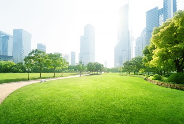 Commercial Landscape Maintenance in Allen