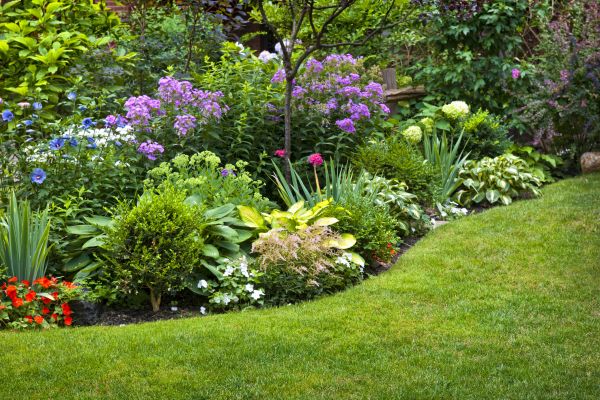 Flower Bed Service in Allen