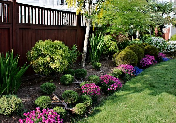 Garden Care Service in Allen