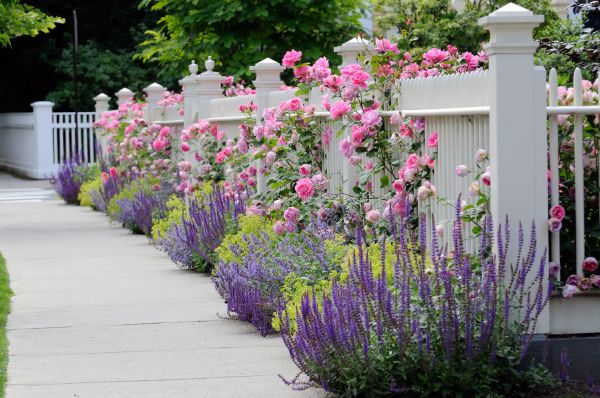 Garden Handyman Service in Allen