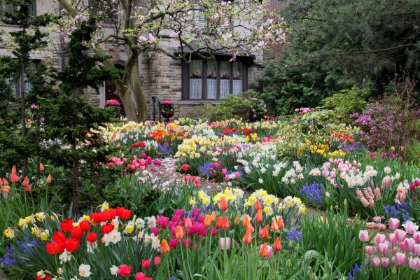Garden Maintenance Service in Allen