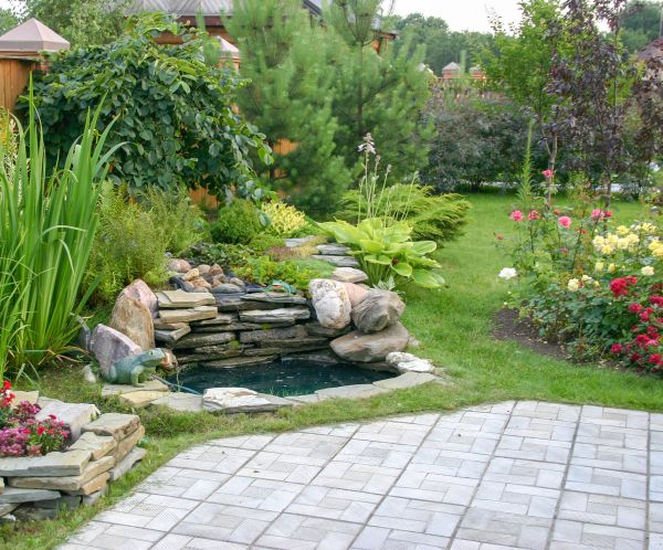 Landscaping Design Service in Allen