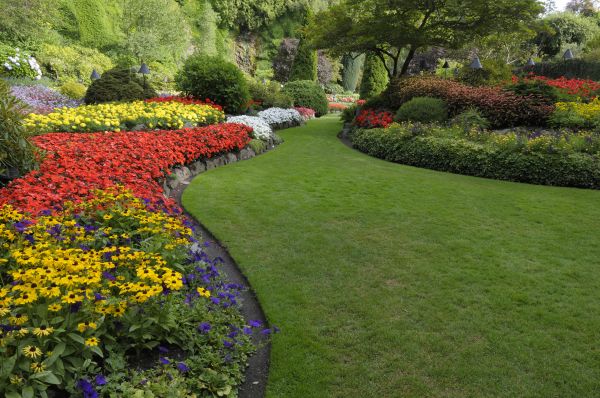 Landscaping Maintenance in Allen