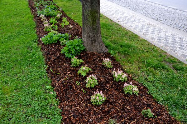 Mulch Replacement Service in Allen