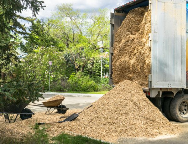 Wood Chips Delivery in Allen