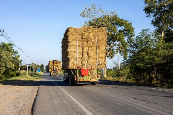Pine Straw Delivery in Allen
