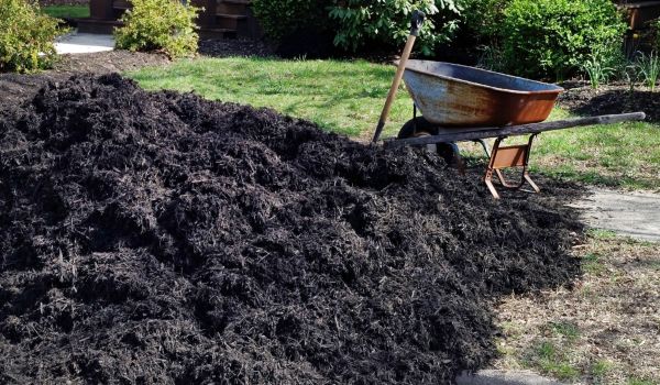 Black Mulch Delivery in Allen