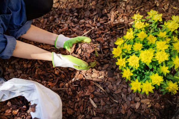 Garden Mulching in Allen