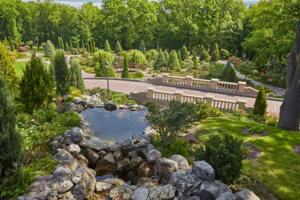 Landscape Architecture Service in Allen