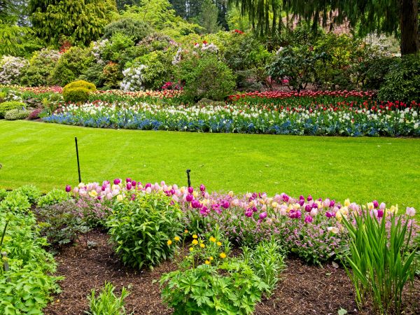 Residential Landscape Design in Allen
