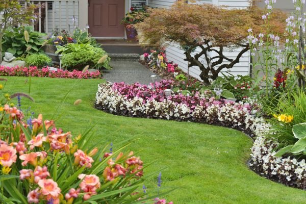 Perennial Landscaping in Allen