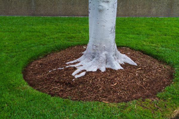 Brown Mulch Installation in Allen