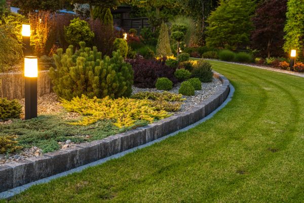 Garden Repair Service in Allen