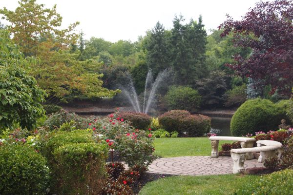 Courtyard Design Service in Allen