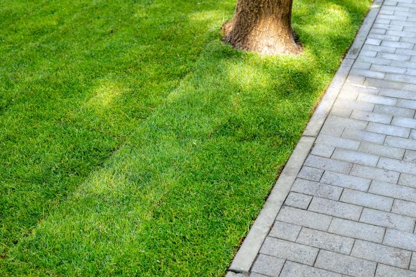 Border Stone Installation in Allen