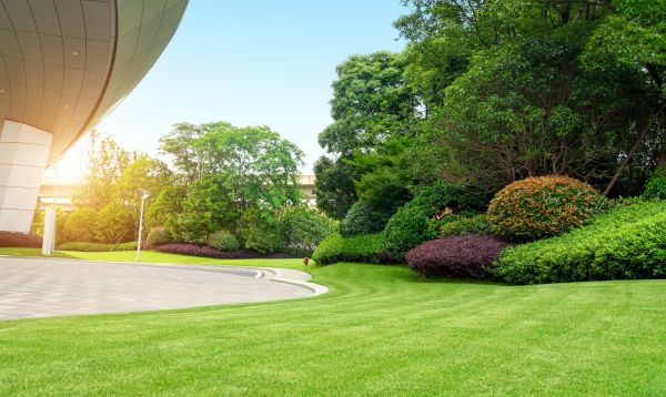Business Landscape Design in Allen