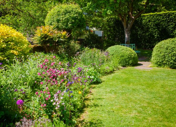 Yard Landscaping Service in Allen