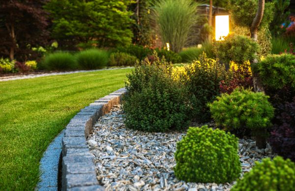 Landscaping Service in Allen