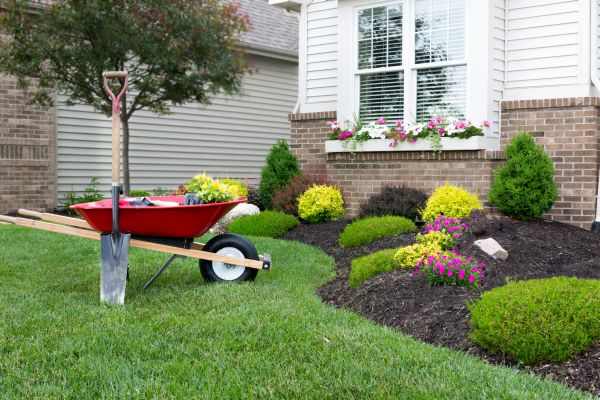 Tree And Shrub Planting in Allen