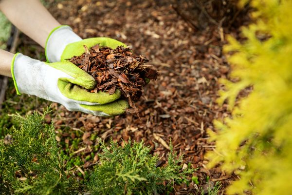 Garden Mulch Delivery in Allen