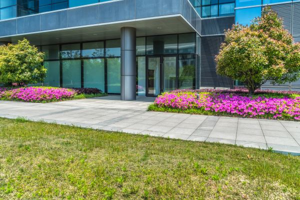 Commercial Gardening in Allen