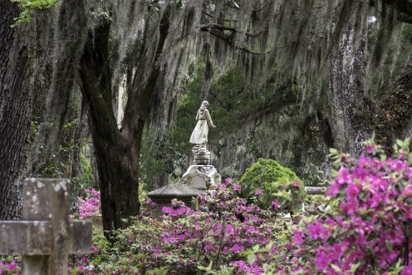 Cemetery Landscaping in Allen