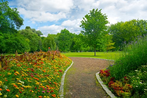 Park Landscaping in Allen