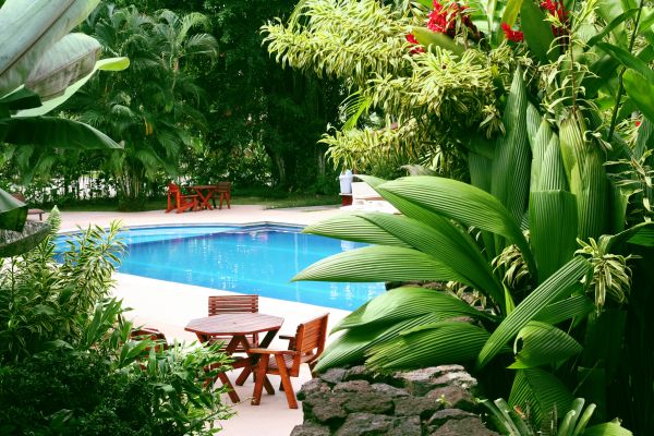 Tropical Garden Landscaping in Allen