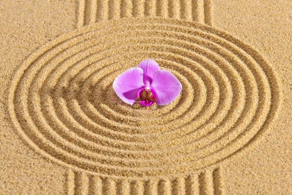 Sand Garden Landscaping in Allen
