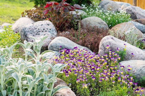 Rock Garden Installation in Allen
