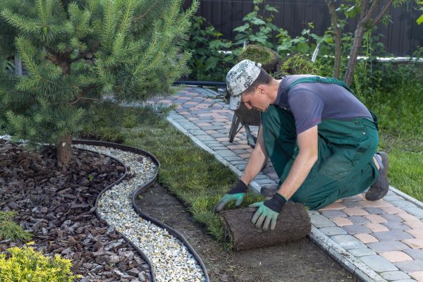 Landscaping Modification in Allen