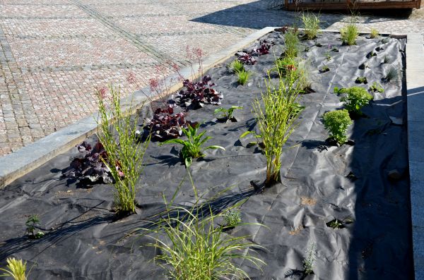 Landscape Fabric Installation in Allen