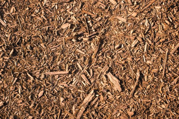 Wood Chips Removal in Allen