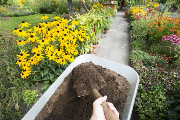 Topsoil Replacement in Allen