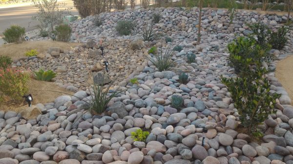 Yard Xeriscaping in Allen