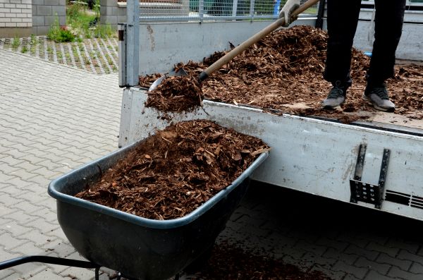 Playground Mulch Delivery in Allen