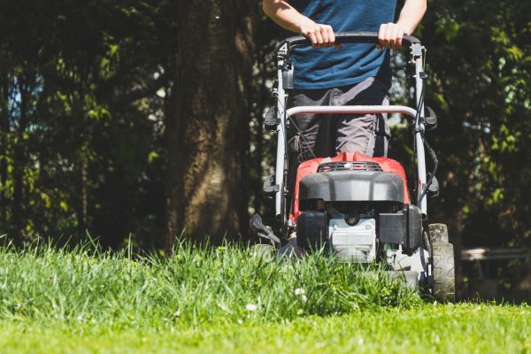 Garden Trimming Service in Allen
