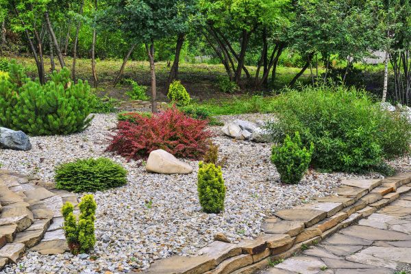 Hardscape Landscaping in Allen
