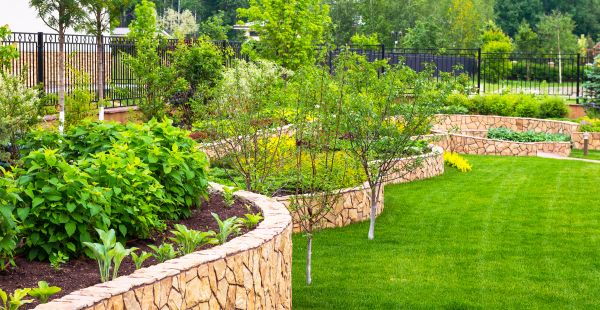 Yard Makeover Service in Allen
