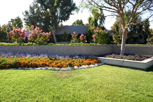 Commercial Landscape Service in Allen