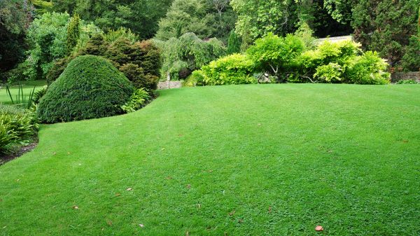 Commercial Landscape Design in Allen