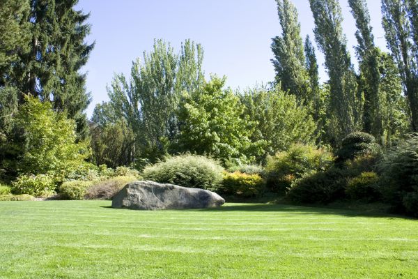 Yard Enlargement in Allen