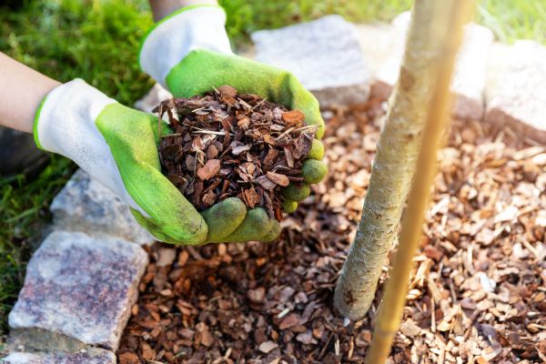 Tree Bark Delivery in Allen