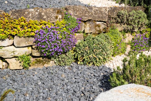 Landscaping Rocks Installation in Allen