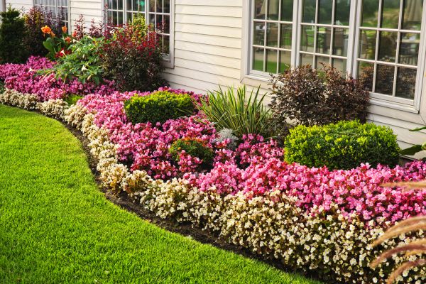 Garden Landscape Design in Allen