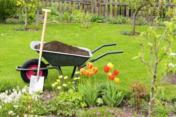 Spring Yard Renovation in Allen