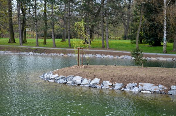 Pond Landscaping Service in Allen