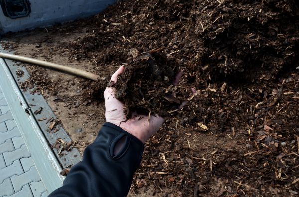Condo Mulching in Allen